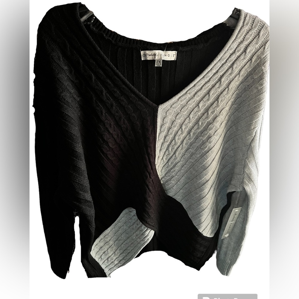 NWT Absolutely Famous Sweater 2X
